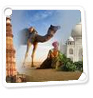 tour guide delhi golden triangle private tour package with guide